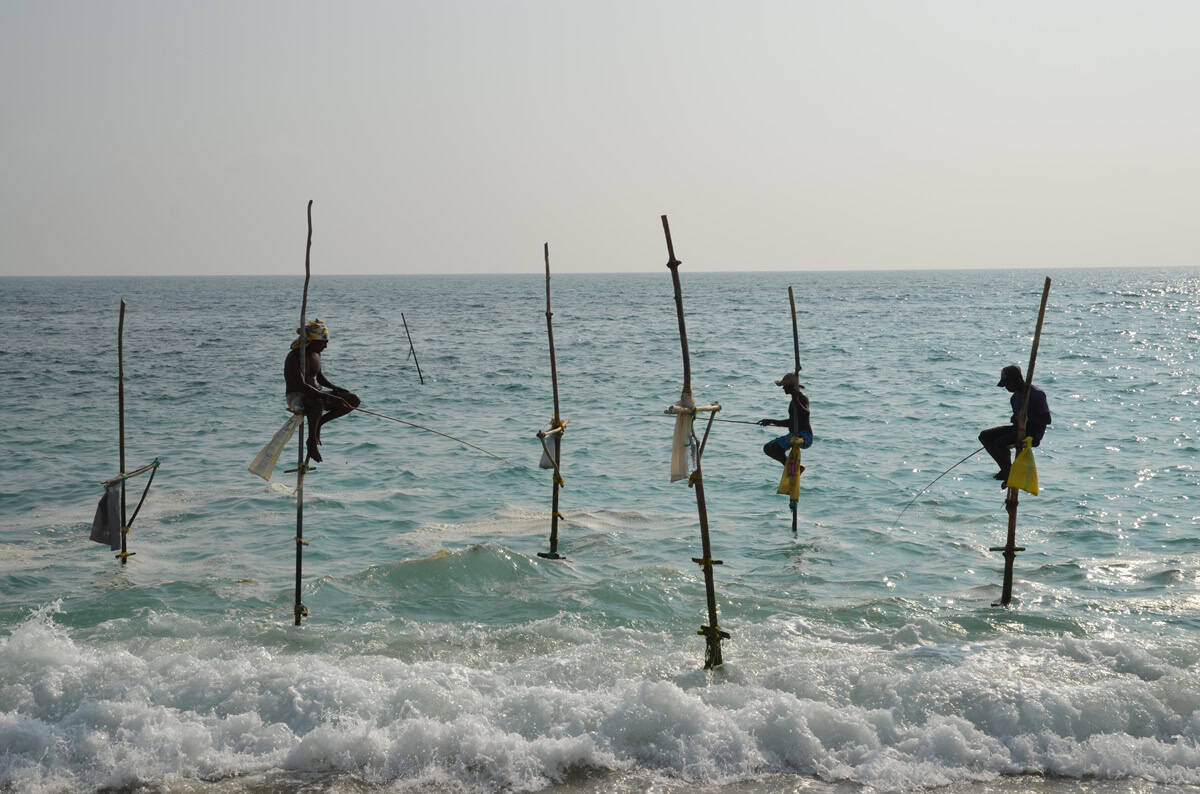 Stilt Fishermen near Unawatuna