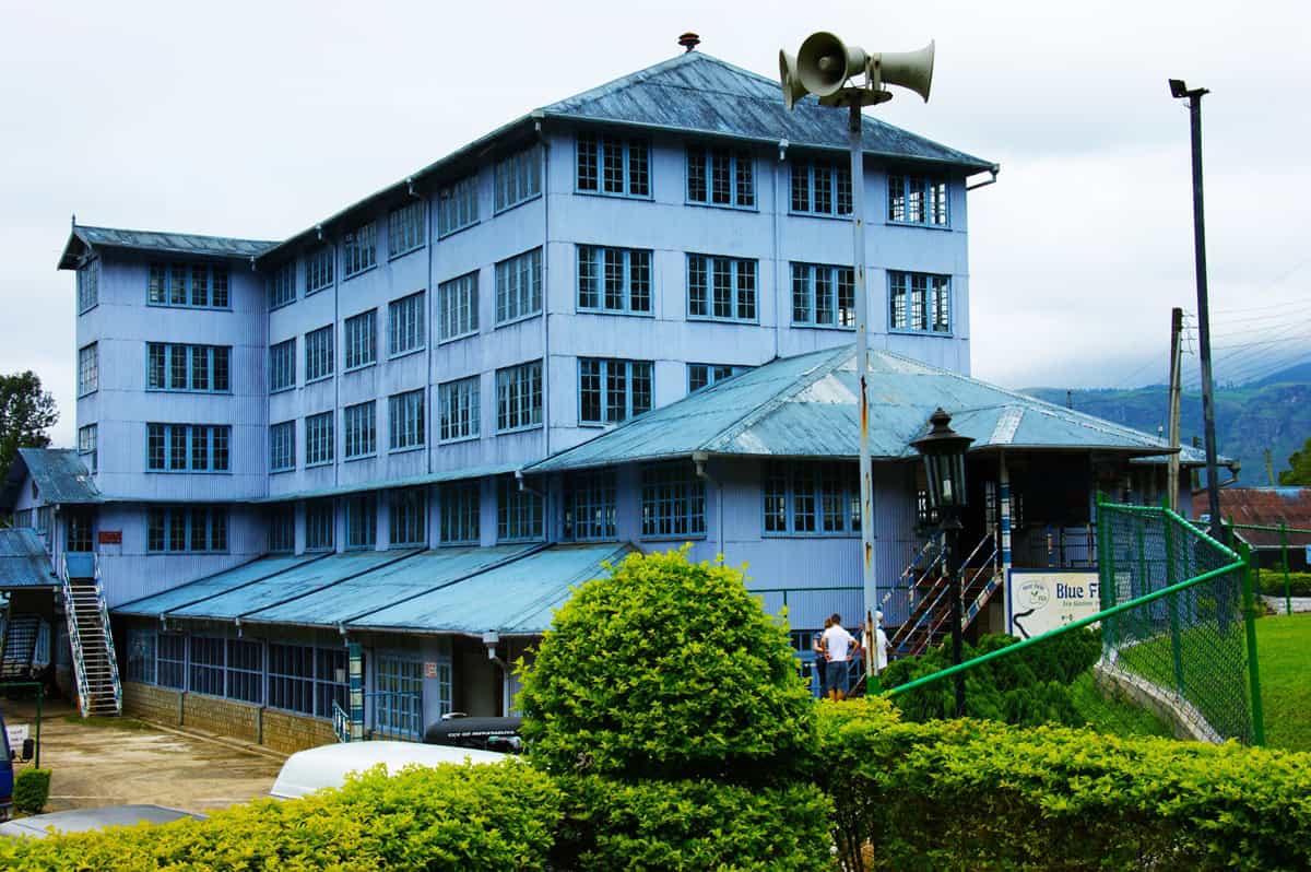 Blue Fields Tea Factory Ramboda Nuwara Eliya