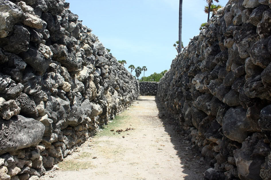 Hidden Gems in Sri Lanka - Delft Island