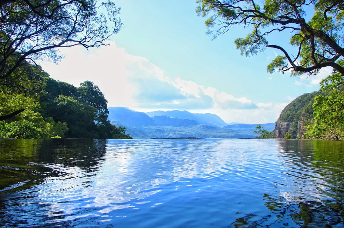 Knuckles Conservation Forest