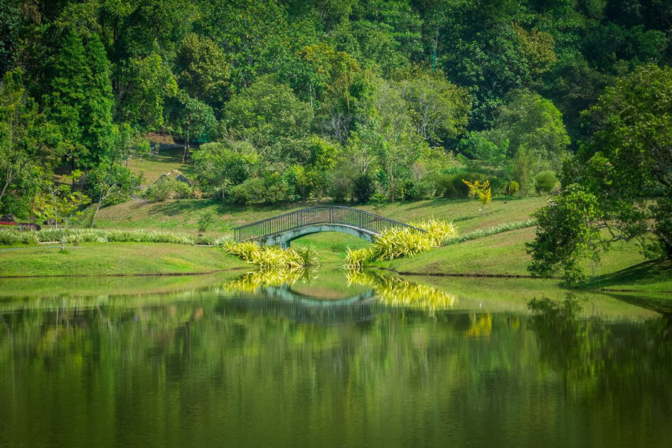 Seethawaka Wet Zone Botanic Gardens