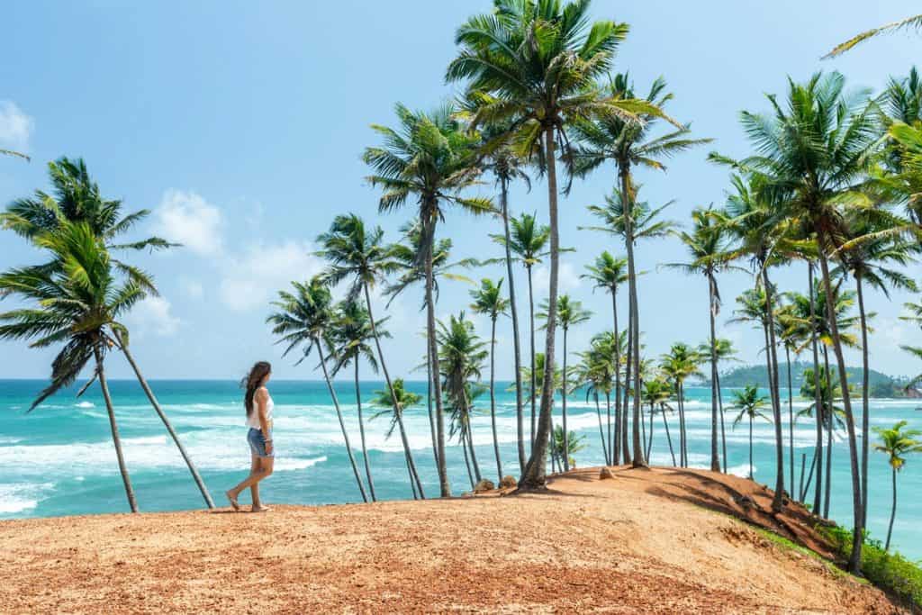 Find the Best Time to Visit Sri Lanka
