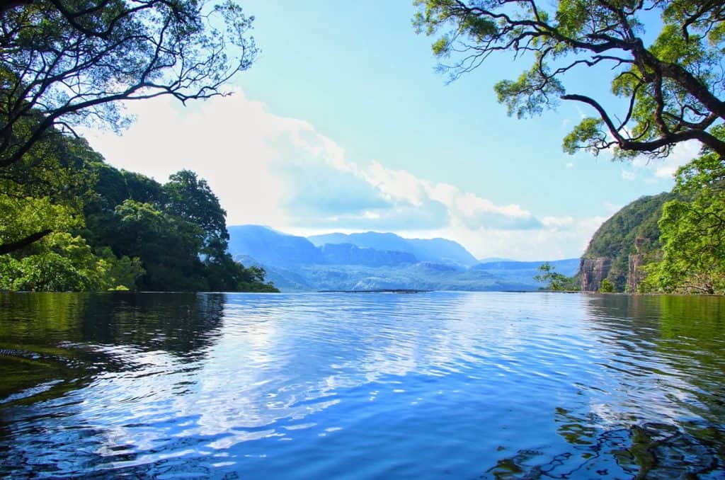 Knuckles Conservation Forest