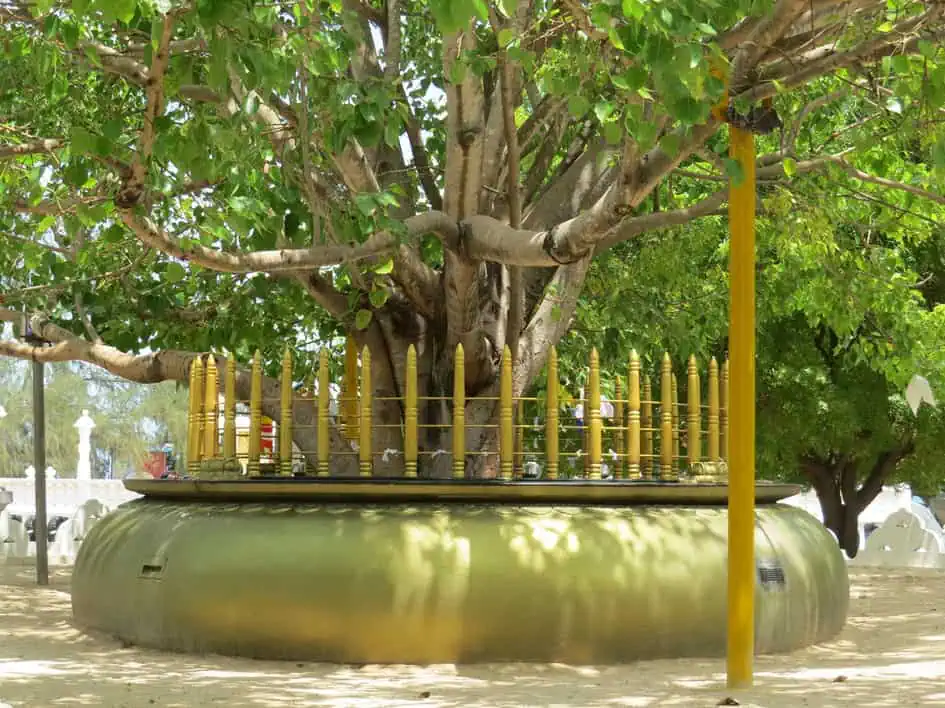 Dambakolapatuna Sangamiththa Temple