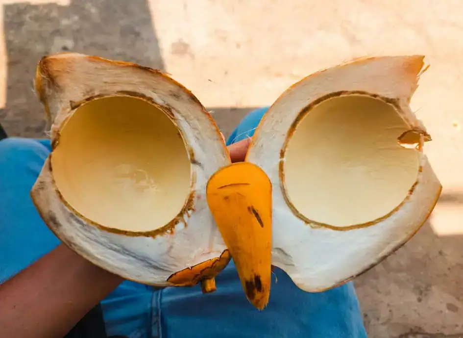 Inside a King Coconut