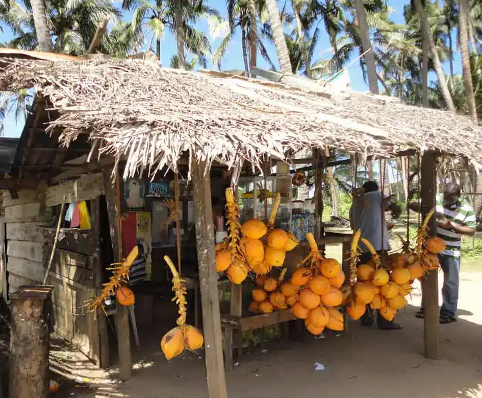 King Coconut kiosk in Sri Lanka