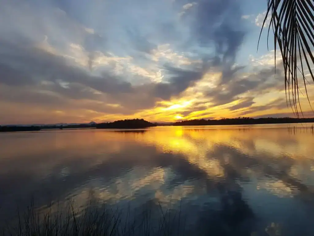 Madu Ganga: A Serene River Safari in Sri Lanka’s Mangrove Heartland