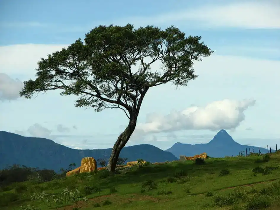View of Adam's Peak from Nuwara Eliya