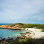 Pigeon Island National Park - Trincomalee