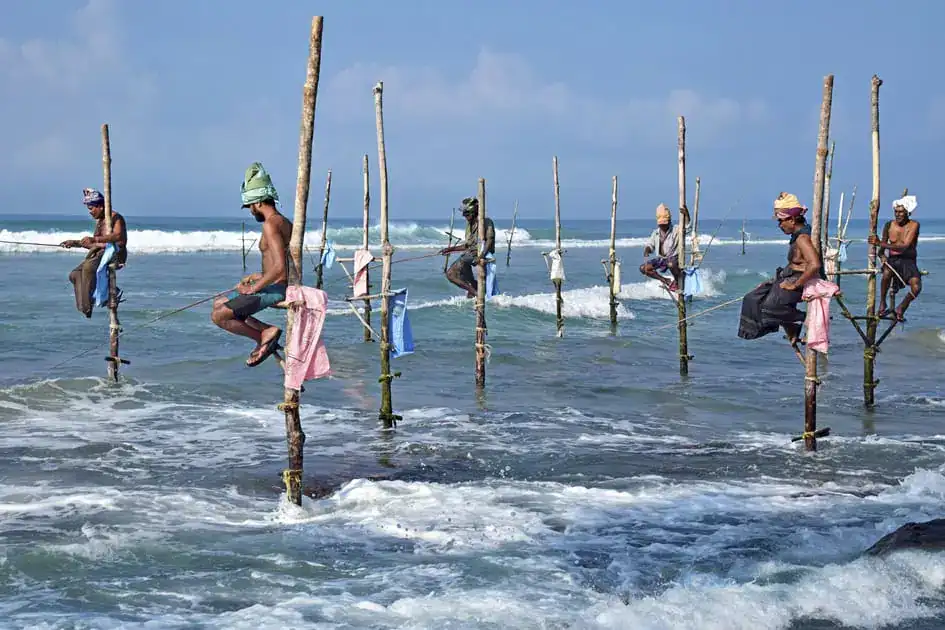 Stilt Fishermen - Southern Coast
