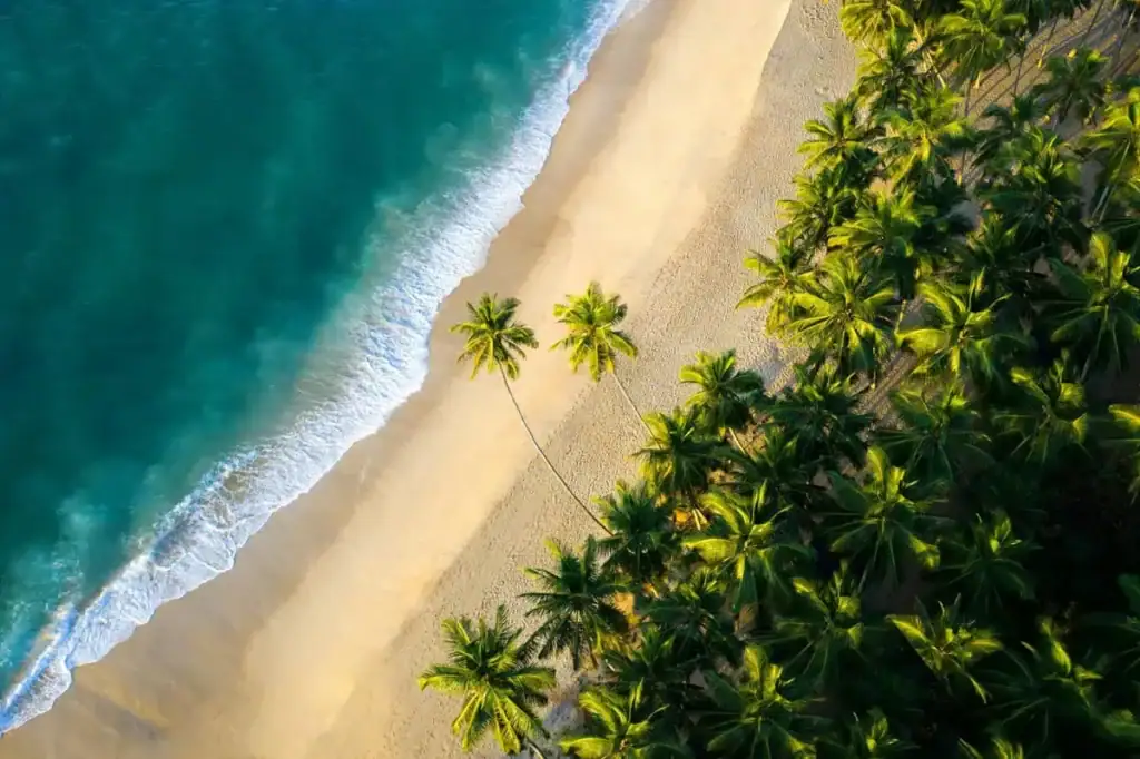 Tangalle Beach: A Complete Traveller’s Guide to Sri Lanka’s Southern Coast