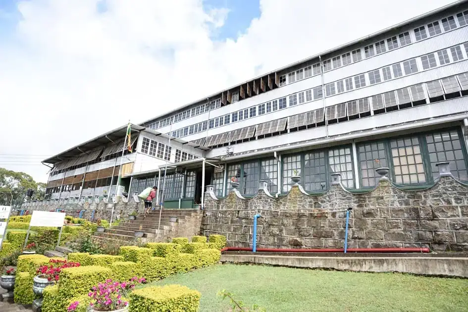 Dambatenna Tea Factory
