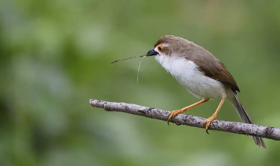 Working Hard for the Next Generation