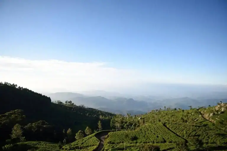 View of the Valley From Haputale