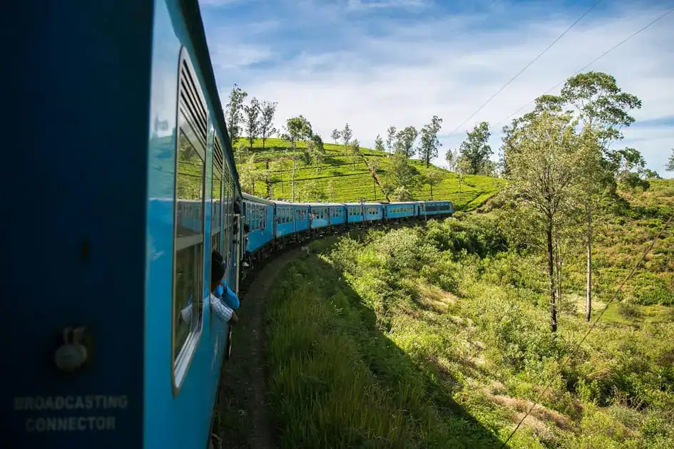 A Train Passing a Tea Plantation in the Hill Country