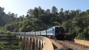 A train over the Nine Arches Bridge in Ella