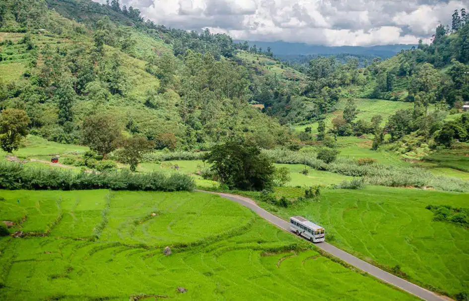 A village road in Sri Lanka