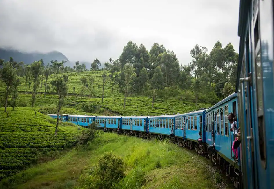 The Scenic Train Ride through Tea Estates