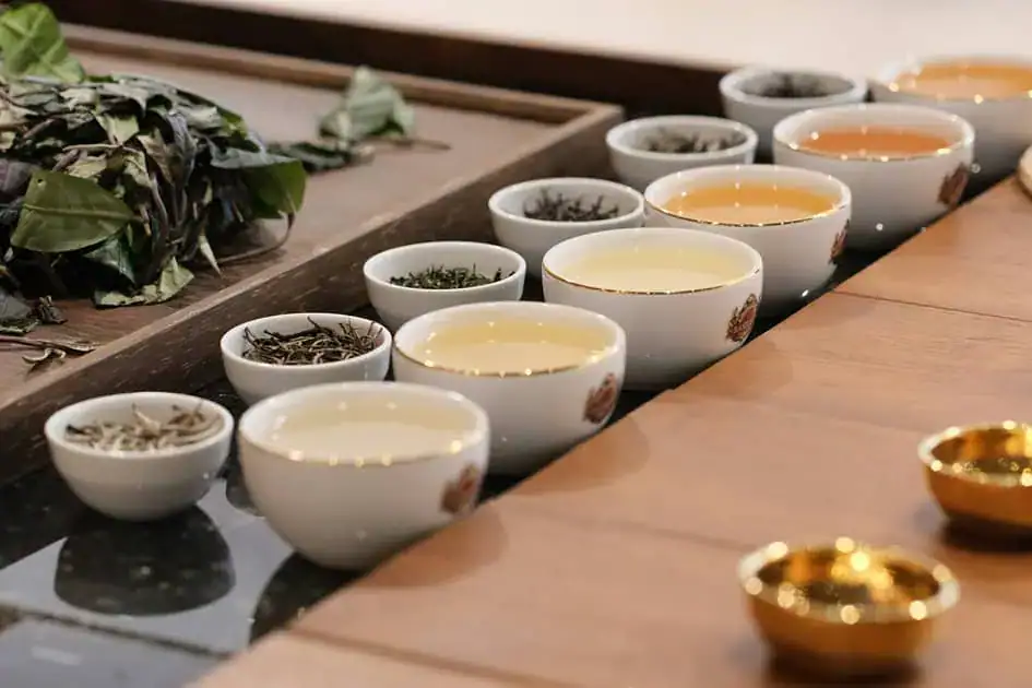 Ceylon Tea Tasting