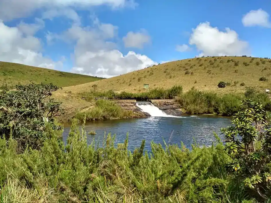 Chimney Pond - Horton Plains