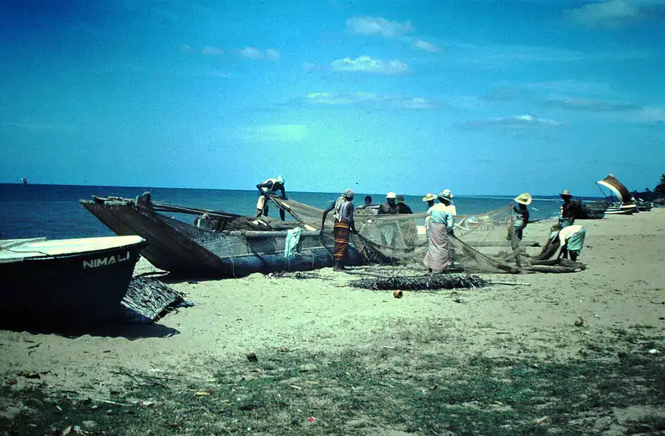 Fishermen with Traditional Boats - Negombo