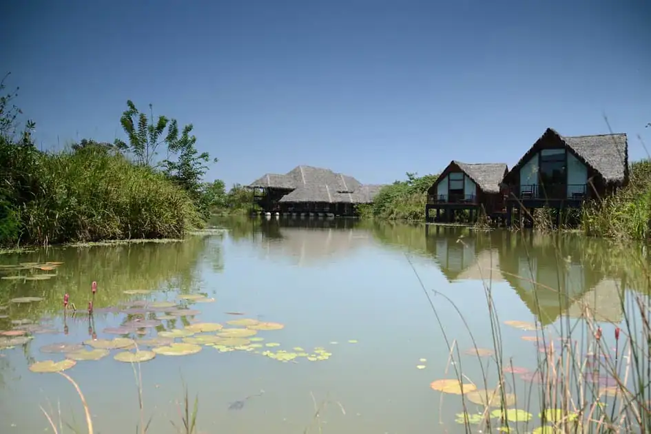 Jetwing Vil Uyana - Sigiriya