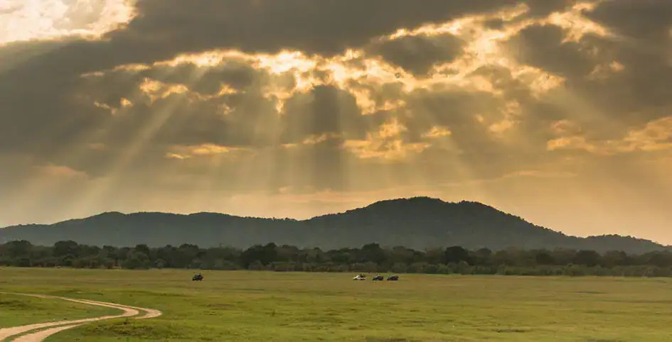Minneriya National Park