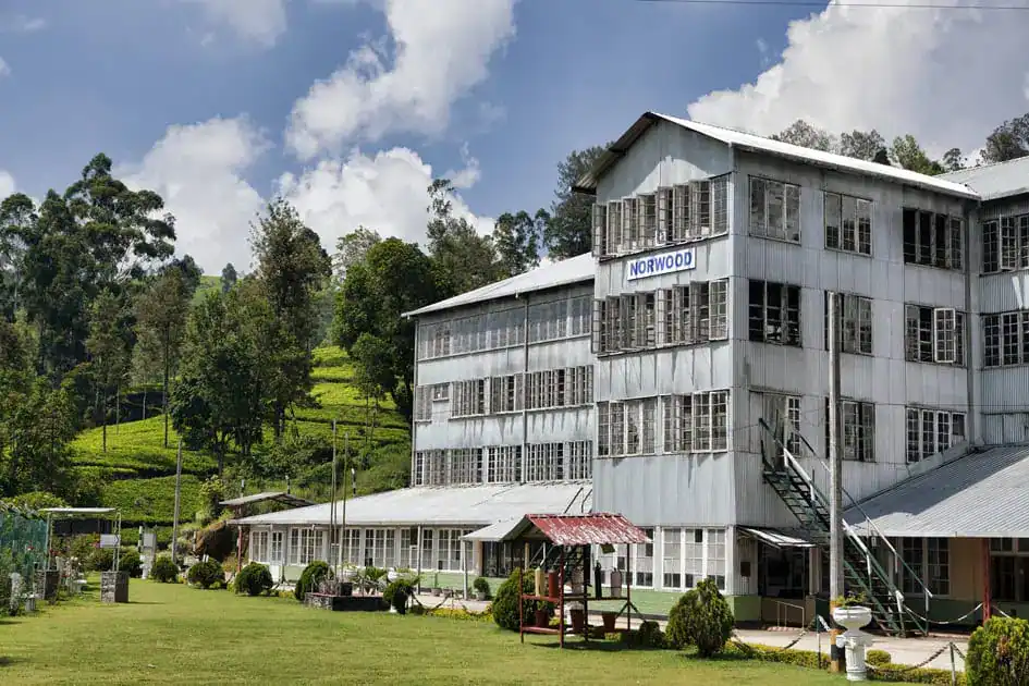 Norwood Tea Factory
