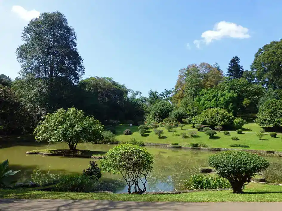Royal Botanic Gardens - Peradeniya