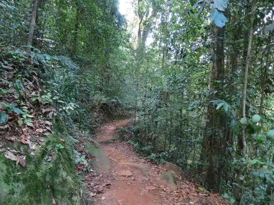 Sinharaja Forest Trail - UNESCO World Heritage Sites