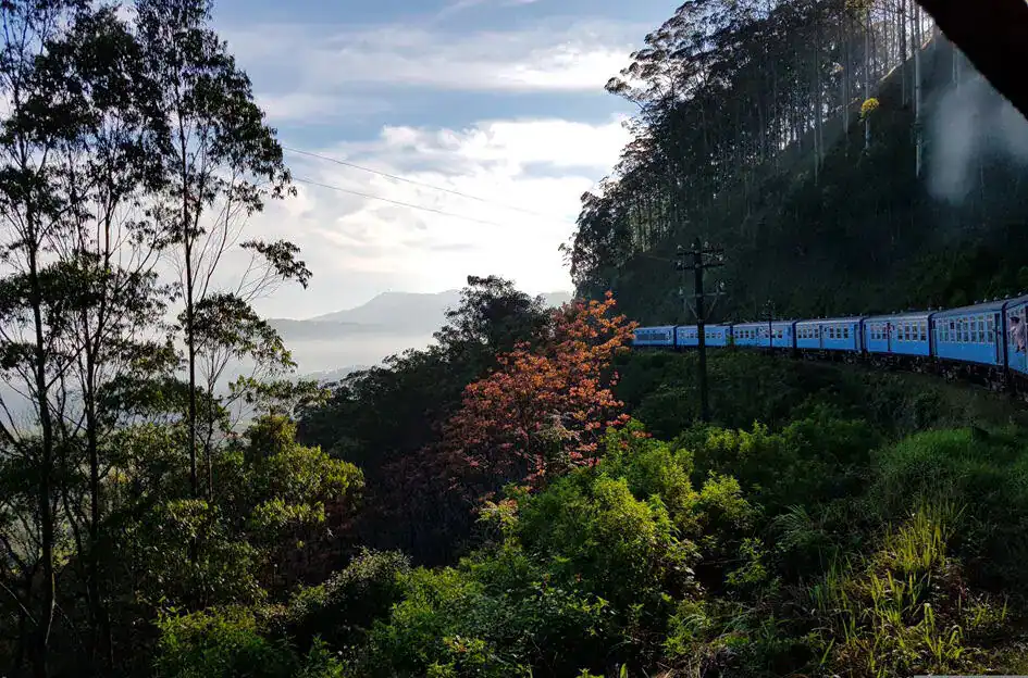 The Scenic Kandy to Ella Train Ride through the Hill Country