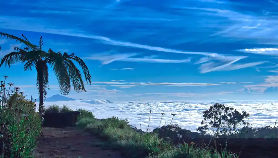 The View Between Pattipola and Idalgashinna - Hill Country Railway Line