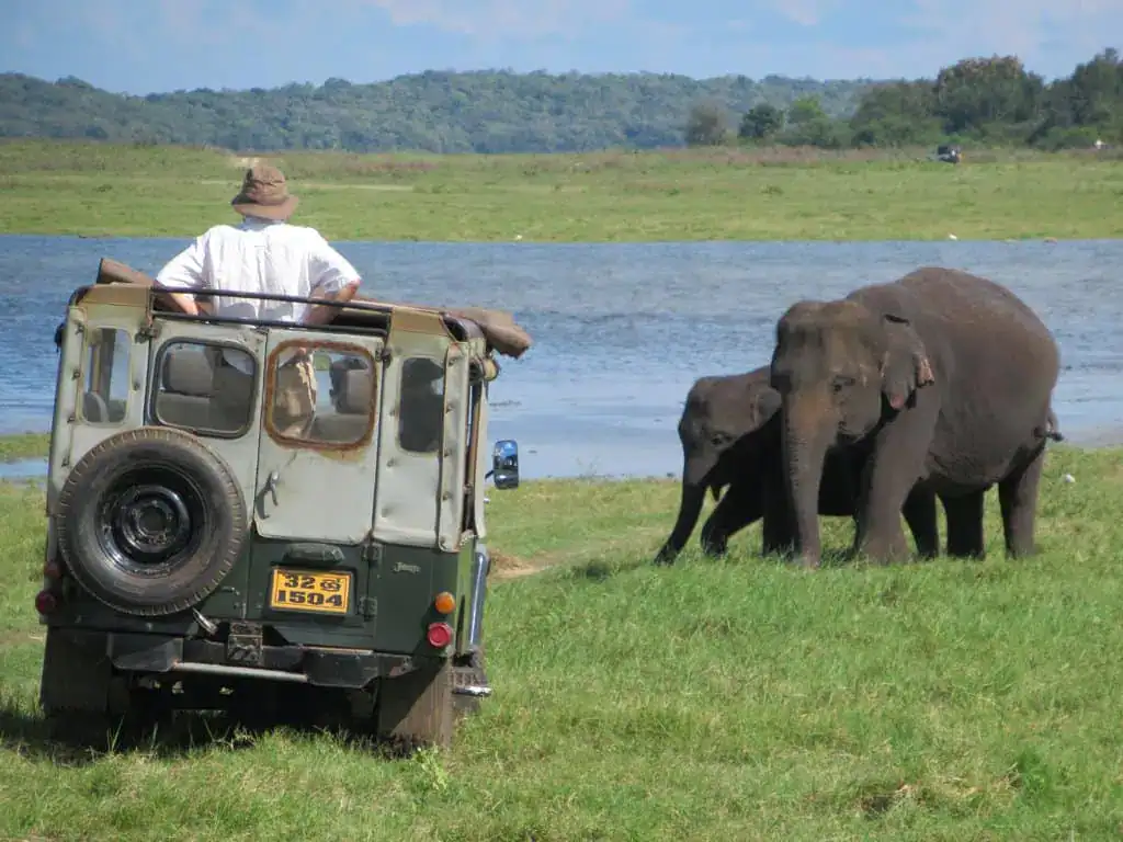 A Safari Jeep - Kaudulla National Park