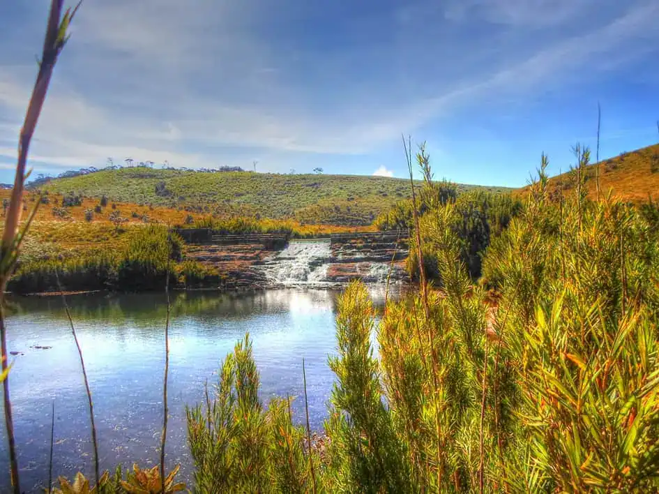 A Stream - Horton Plains National Park