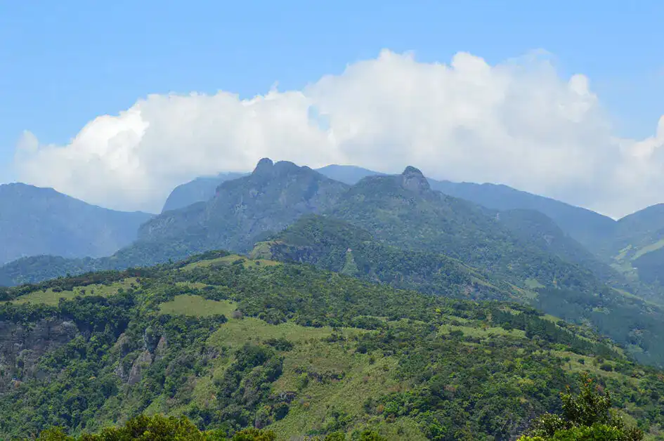 The View of Knuckles Mountains Range from Manigala
