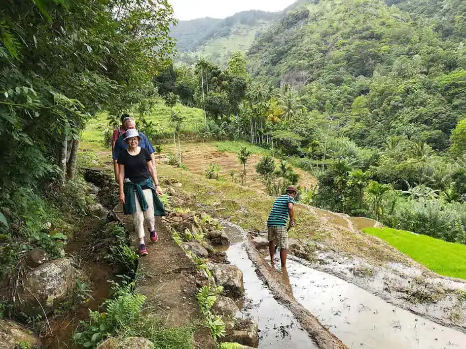 Nature Walk - Knuckles Mountain Region