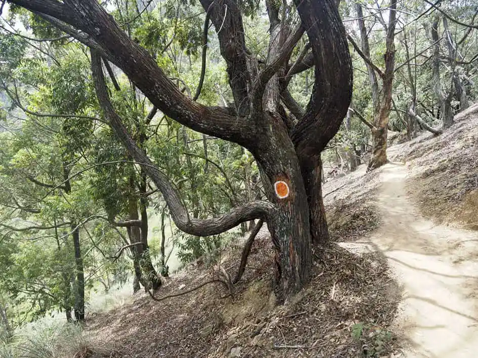 The Pekoe Trail in Ella