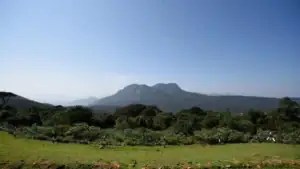 The View from Moon Plains - Nuwara Eliya