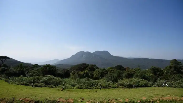 The View from Moon Plains - Nuwara Eliya