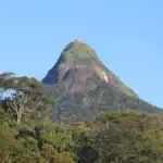 The View of Adam's Peak from Maskeliya