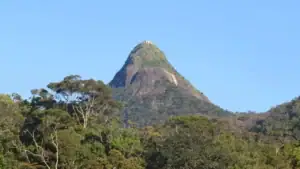 The View of Adam's Peak from Maskeliya