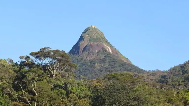 The View of Adam's Peak from Maskeliya