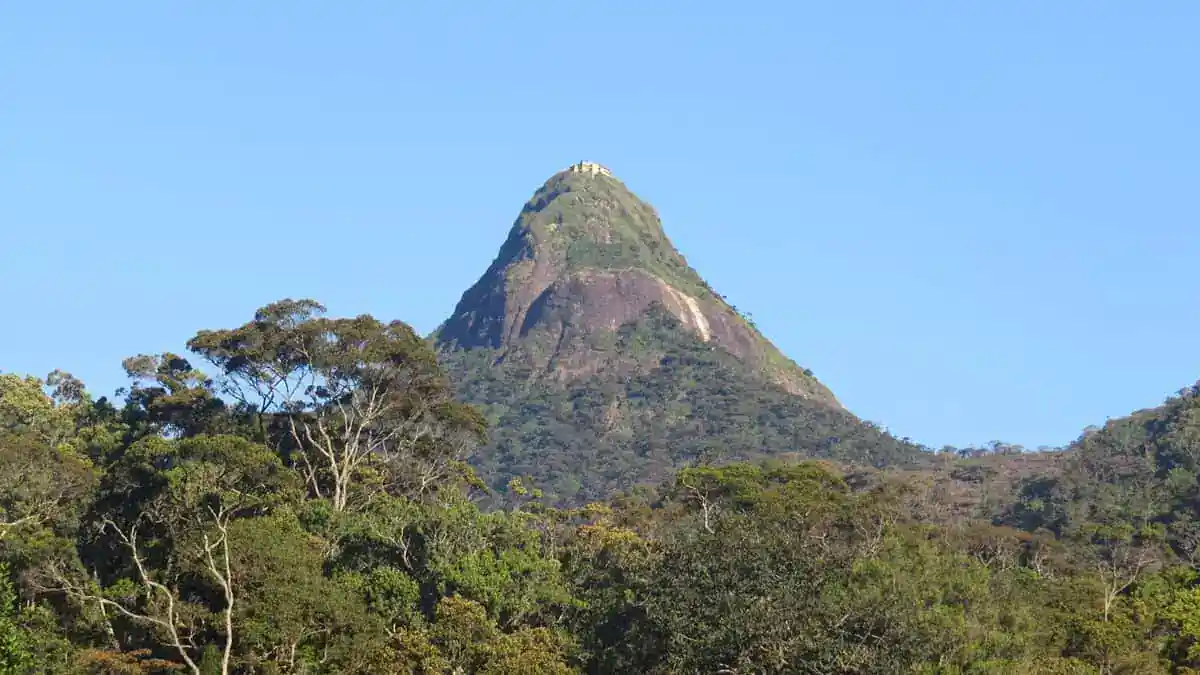 The View of Adam's Peak from Maskeliya