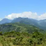 The View of Knuckles Mountain Range from Manigala
