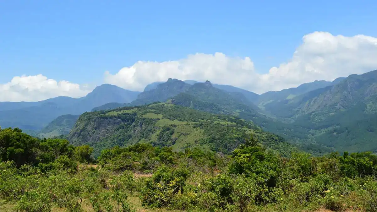 The View of Knuckles Mountain Range from Manigala