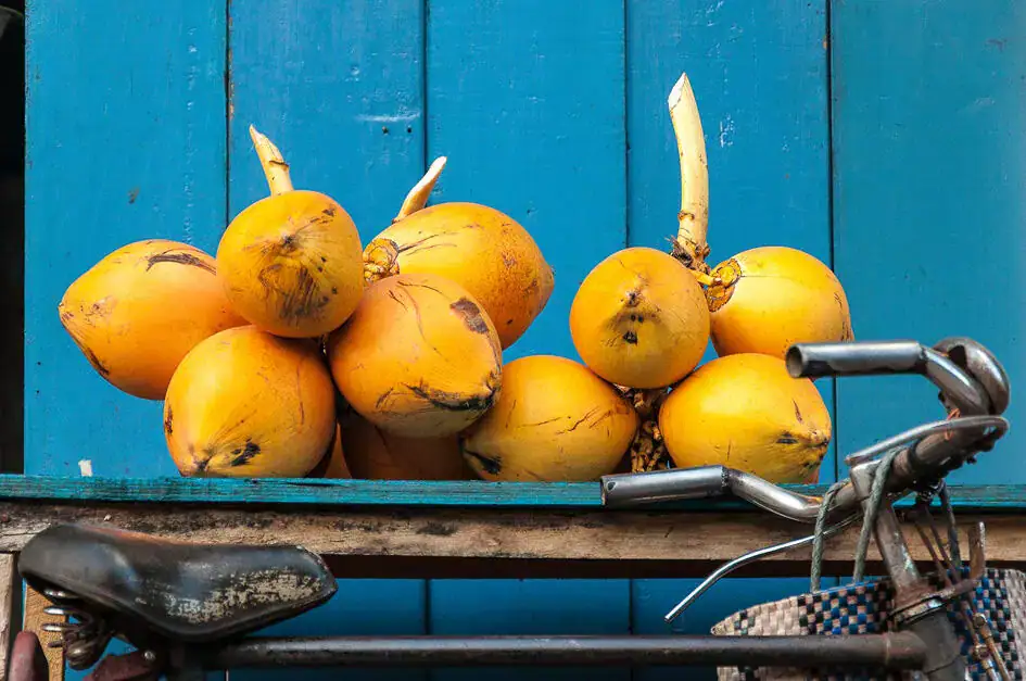 Don't Miss to Taste King Coconuts