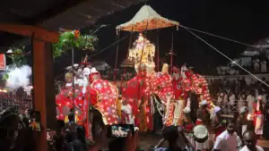 Kandy Esala Perahera