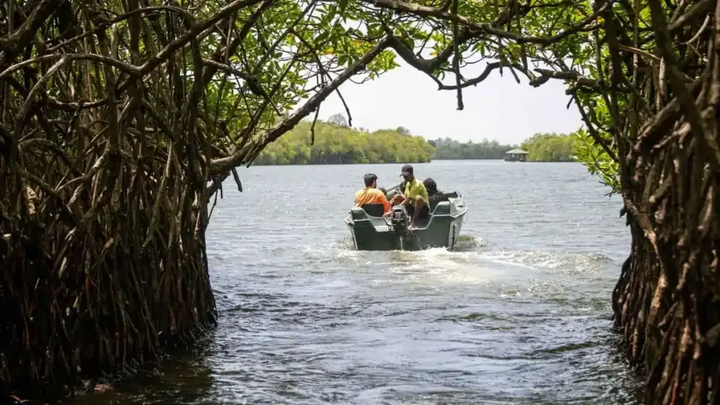 Boat Rides in Sri Lanka: The Ultimate Guide to River Safaris, Lagoons, Kayaking and Wildlife Adventures