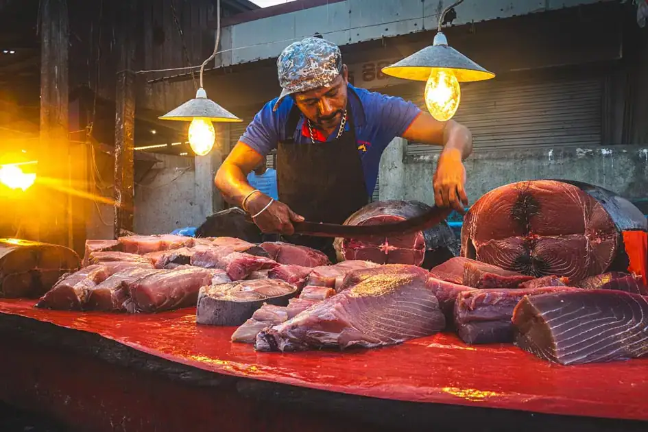 Negombo Fish Market