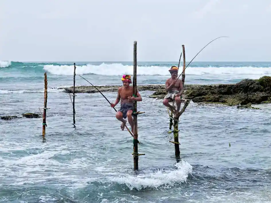 Stilt Fishermen in Ahangama
